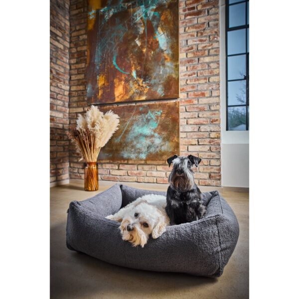 ORTHO hondenbed - TEDDY - Image 9